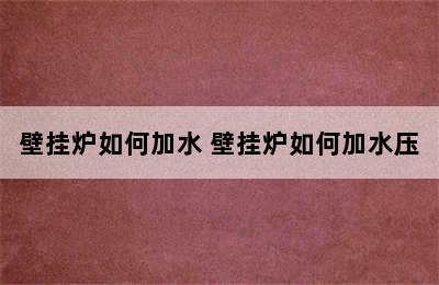 壁挂炉如何加水 壁挂炉如何加水压